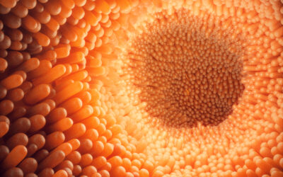 The Gut Brain Connection | Part 1 | Digestion